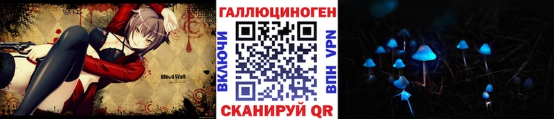 Галлюциногенные грибы Psilocybine cubensis  mega зеркало  Кадников 
